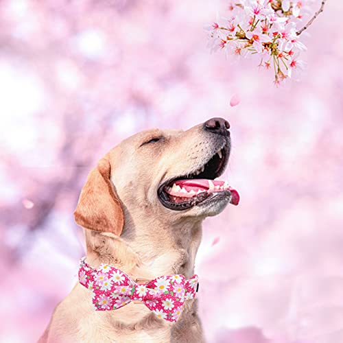 Dog Collar Floral Pattern Pet Collars with Bow Girl (Sunflower / Medium (Pack of 1))