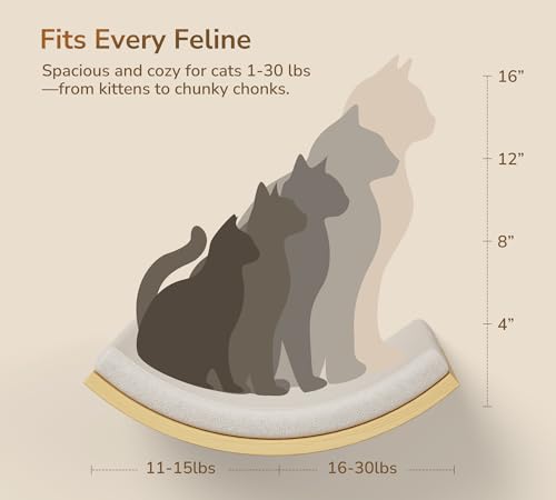 Cat Wall Shelf with Curved Hammock Bed (1 Curved Bed (Foam Mat) / Normal)