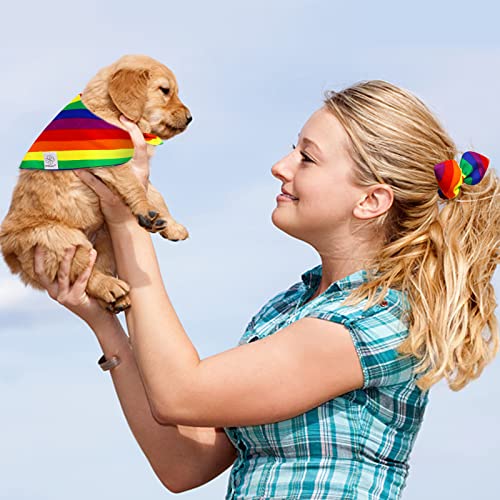 Pride Rainbow Dog Bandana Matching Dog Bandana and Scrunchie Large (rainbow / Large-set of 1)