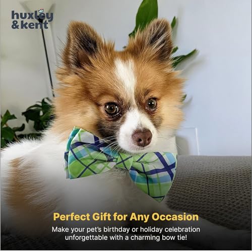 Pet Bow Tie for Dogs & Cats (Extra-Large)