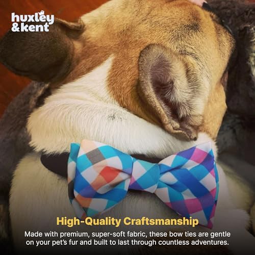 Pet Bow Tie for Dogs & Cats (Small)