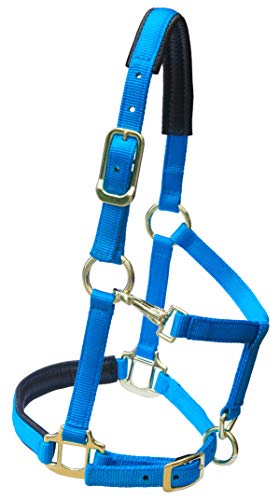 Adjustable Horse Halters by Heavy Duty Soft Nylon (Blue / XS Pony)