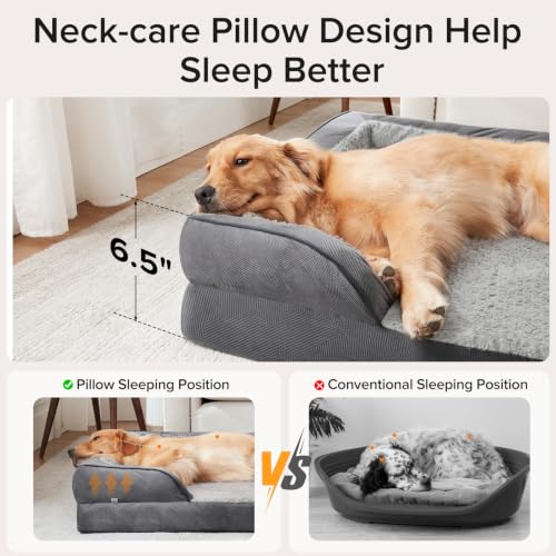 Orthopedic Medium Dog Beds for Medium Dogs (Grey / M (28"x 23"x 6.5"))