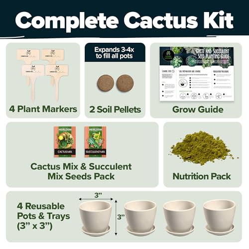 Succulent & Cactus Seed Starter Kit