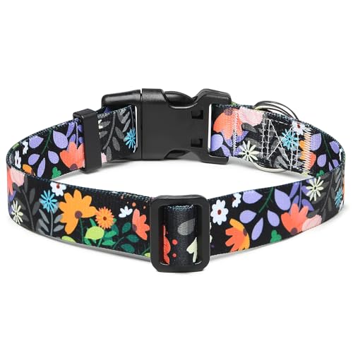 Adjustable Dog Collar (Medium / Floral Orange)