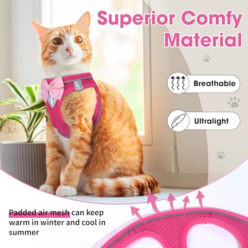 Cat Vest Harness and Leash Set (Pink / XS)