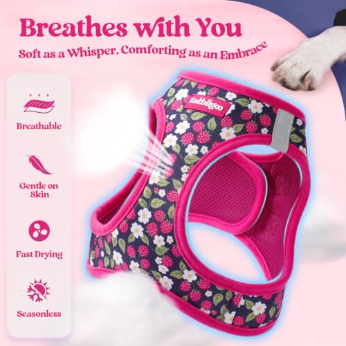 Dog Harness Small Sized and Leash Set (Pink Berry / S (chest: 15.1 - 16.5"))