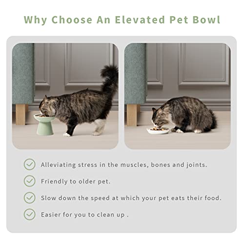 2 Pack Elevated Ceramic Cat Bowls Extra Wide for Food & Water (Sage Green)
