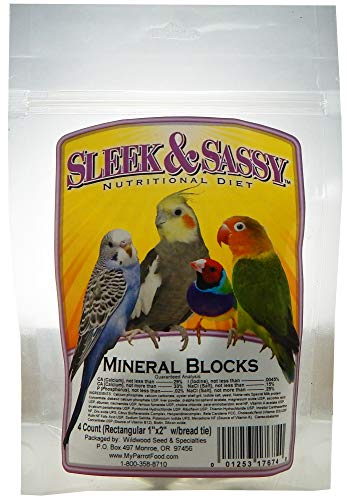 Mineral Blocks (1 Count (Pack of 4))