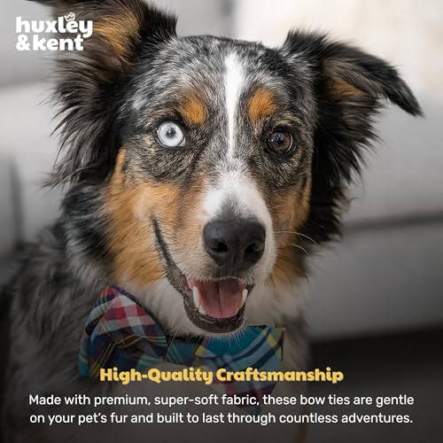 Pet Bow Tie for Dogs & Cats (Small)