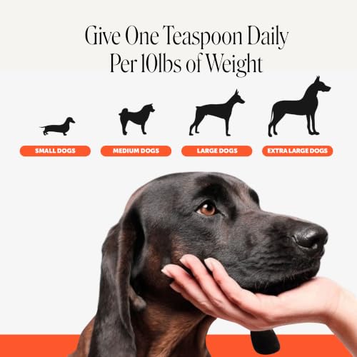 Hip and Joint Oil for Dogs (12oz)