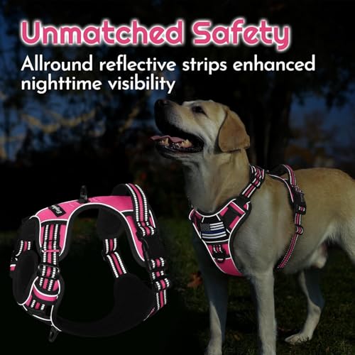 Dog Harness No Pull for Small Dogs (Small / Pink & Black)