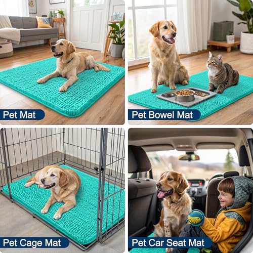 Dog Door Mat for Muddy Paws 54x32 (Teal / 54"X32")