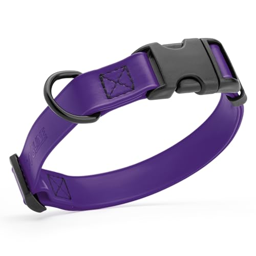 Biothane Waterproof Dog Collar with Quick Release Buckle Strong Coated Nylon Webbing with Odor (3/4"W by 12-19"L / Violet Purple)