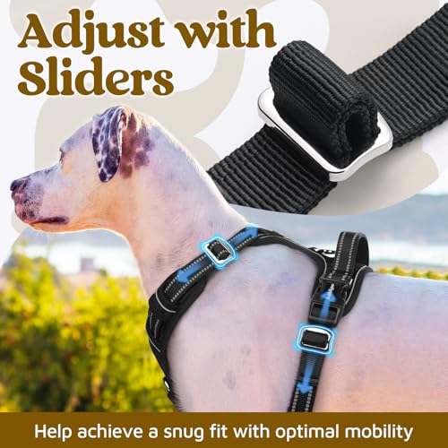Dog Harness for Large (Black / Large)