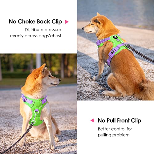 No Pull Dog Harness (Green Base & Purple Straps / Large)