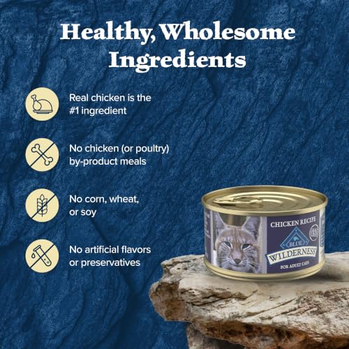 Chicken Pate Wilderness High (3 Ounce (Pack of 24))
