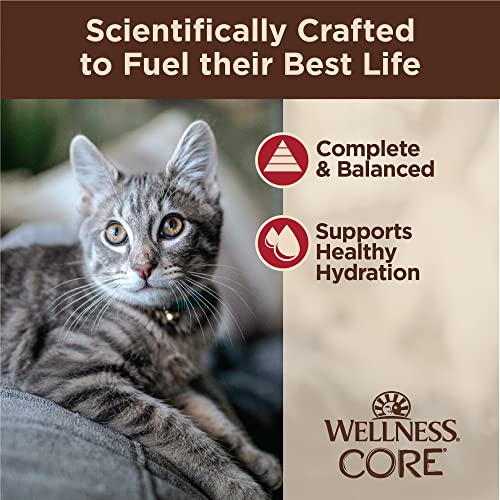 CORE Tiny Tasters Minced Adult Wet Cat Food (1.75 Ounce (Pack of 12))