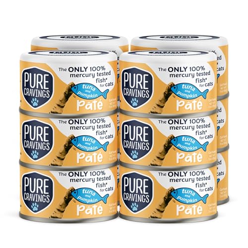Tuna and Pumpkin Pate