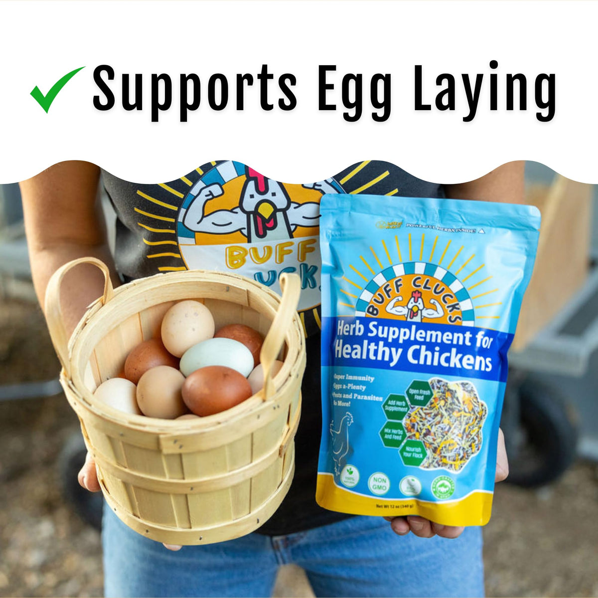 Herbs Supplement for Chicken Food Natural Poultry Feed (20 Pound (Pack of 1))