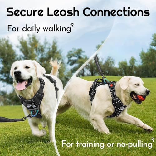 Dog Harness No Pull for Large Dogs (X-Large / Black)