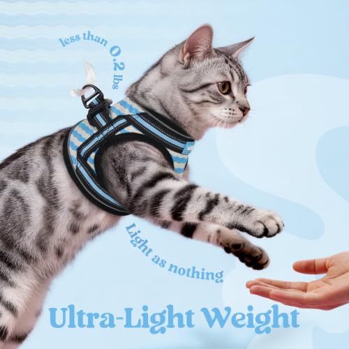 Cat Harness and Leash Set (L / Blue Wave)