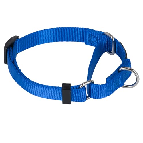 Martingale Dog Collar (Small / Bright Blue)