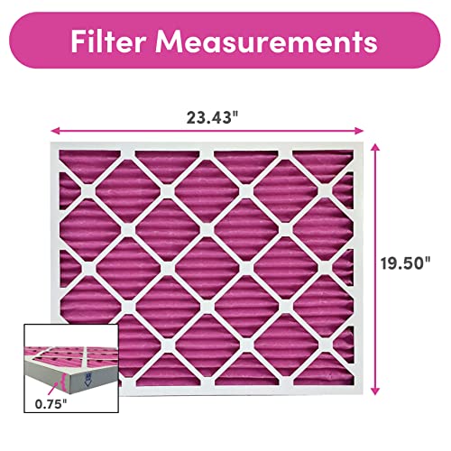 20x24x1 Air Filter (2-Pack / 20" x 24" x 1")