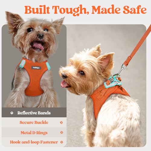Dog Harness Small Sized and Leash Set (Orange / Xxs (chest: 12.4 - 14.2"))
