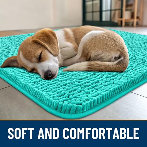 Dog Door Mat for Muddy Paws 47x24 (Teal / 47"X24")