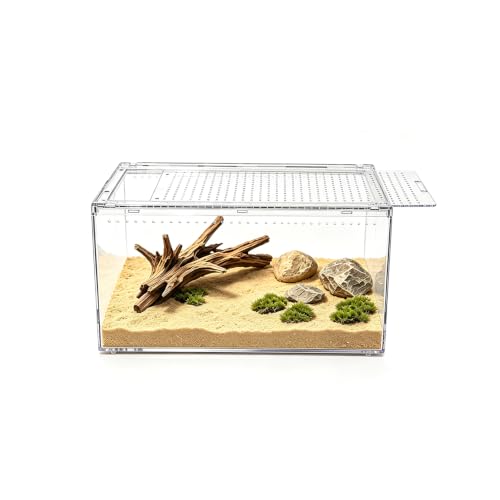 Small Reptile Terrarium (8" * 6" * 4")