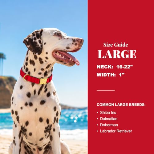 Soft Padded Dog Collar for Large Dogs (Red / L：Fit 16-22" Neck, Width 1")
