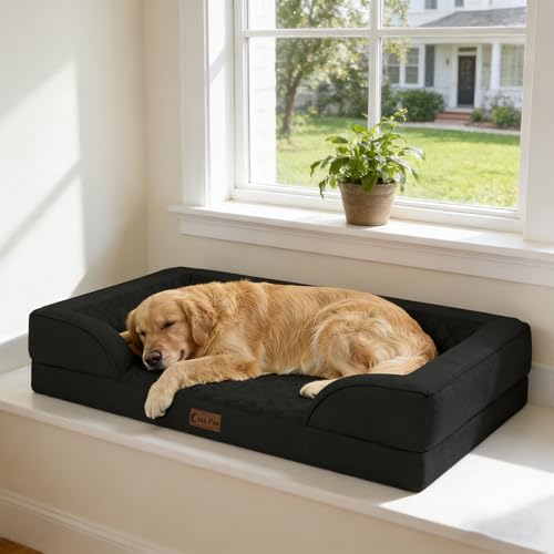 Orthopedic Washable Dog Bed for Large Dogs (Black / 36.0"L x 27.0"W x 8.0"Th)