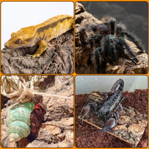 Reptile Cork Bark Bedding (0.7LB - M：3.93~5.9inch)