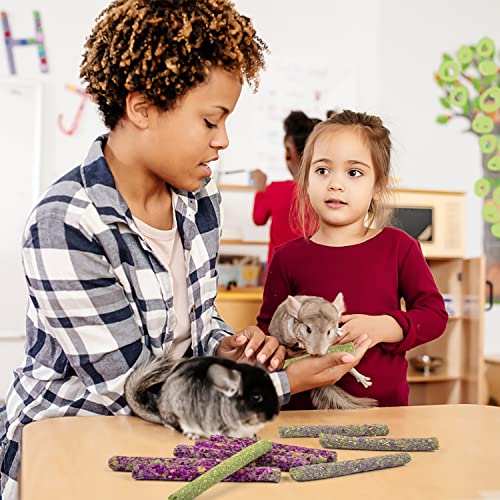 Timothy Hay Treats Rabbit Toys Bunny Toys Guinea Pig Hamster Natural Chews for Teeth Handmade Rabbit Chews and Treats Chinchilla Rat Gerbil