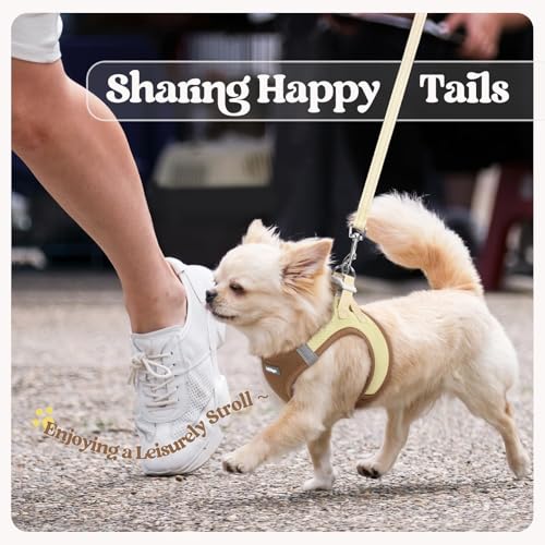 Dog Harness Medium Sized and Leash Set (Brown & Beige / L (chest: 18.2 - 20.5"))