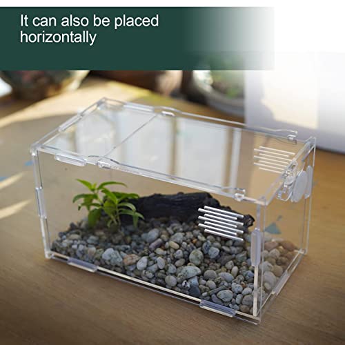 Small Acrylic Reptile Tank Habitat Locking Terrarium 4''x4''x8'' (Small)