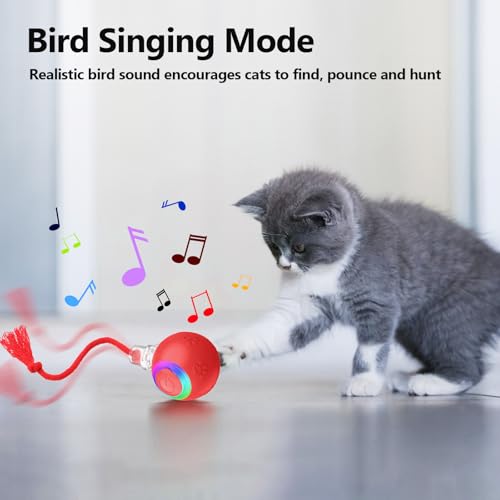 Moving Pet Ball (B -Red)