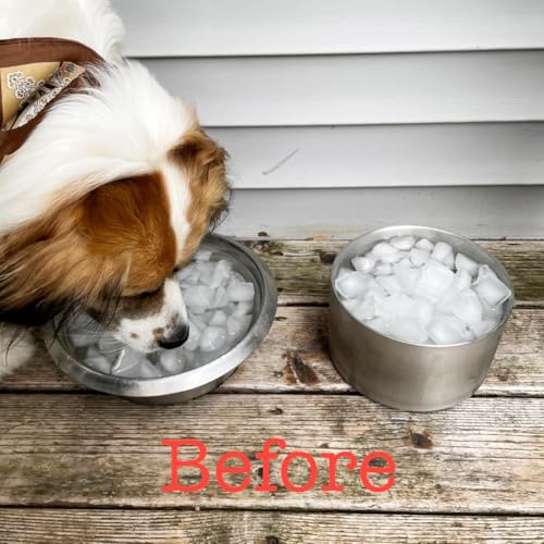 1Gallon Double Layer 304 Stainless Steel Dog Bowl (3.8L)