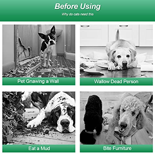 Dog Playpen 40" (24 panels)