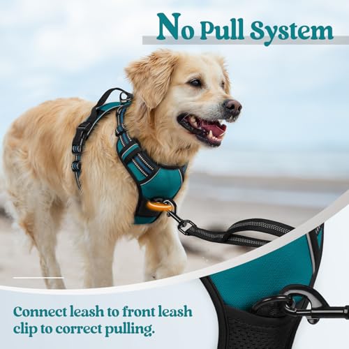 Dog Harness No Pull Medium Sized with 2 Leash Clips (Medium / Blue Coral)