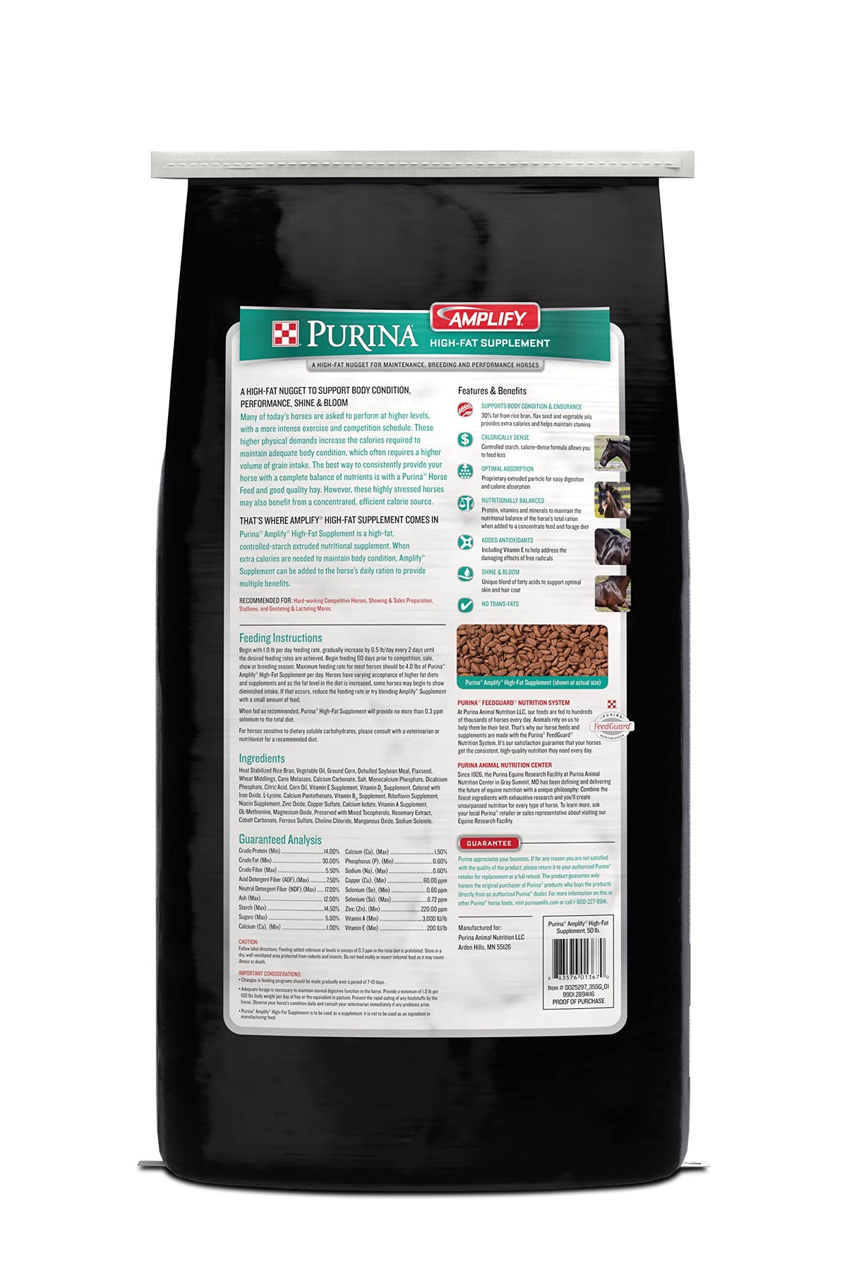 Amplify Equine (One Size)