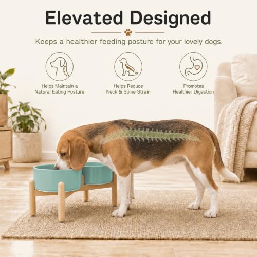 Ceramic Dog Bowls Elevated (Light Green)