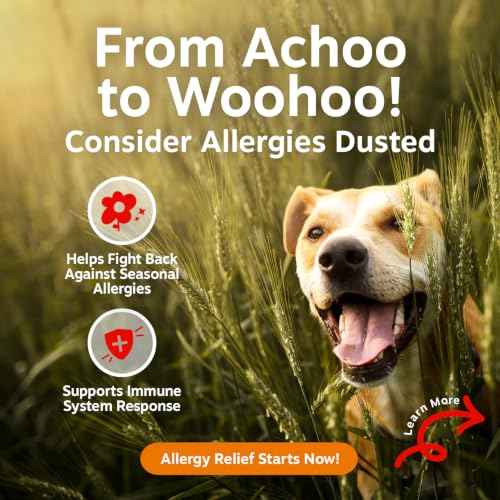 AE Dog Allergy Chews (90 Count (Pack of 1) - Standard)