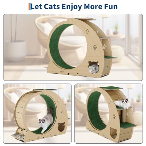 55" Multi Cat Exercise Wheel with 3