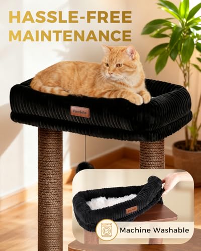 Small Cat Tree for Indoor Kittens (Walnut Finish / Medium)