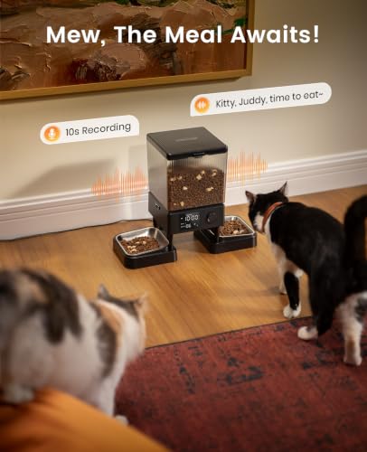 Automatic Cat Feeder for 2 Cats Pets (Black)