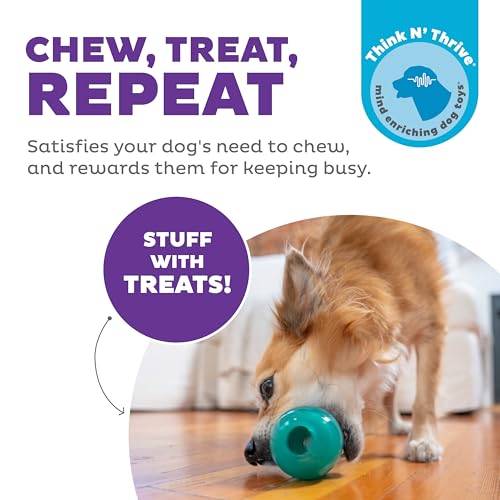 Double Tuff Stuffable Dog Toy (Medium)