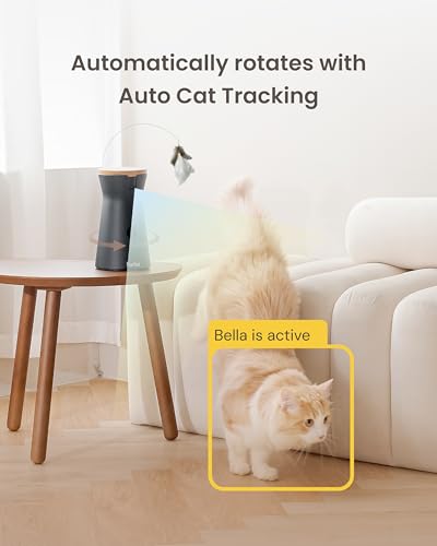 360° Cat Camera [Core Features (360° Cat Camera / No Subscription Required)