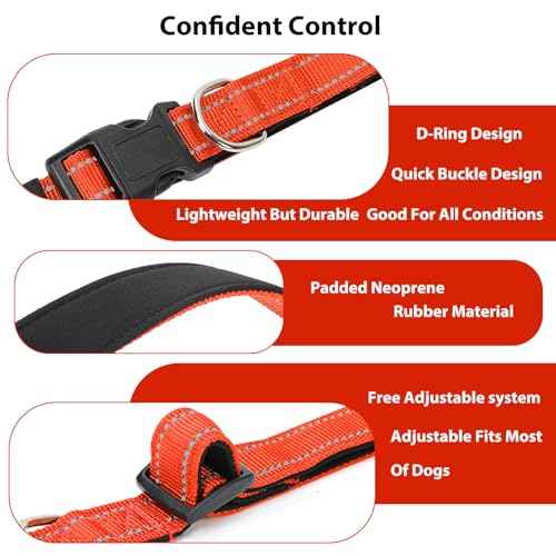 Reflective Dog Collar (Tangerine / S:width 5/8"neck 10.5-16")